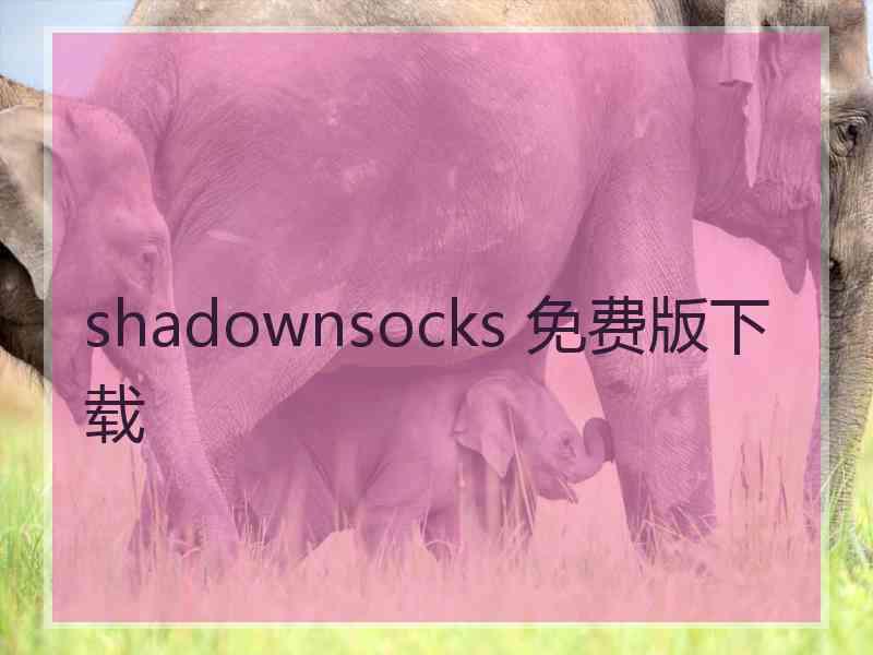 shadownsocks 免费版下载