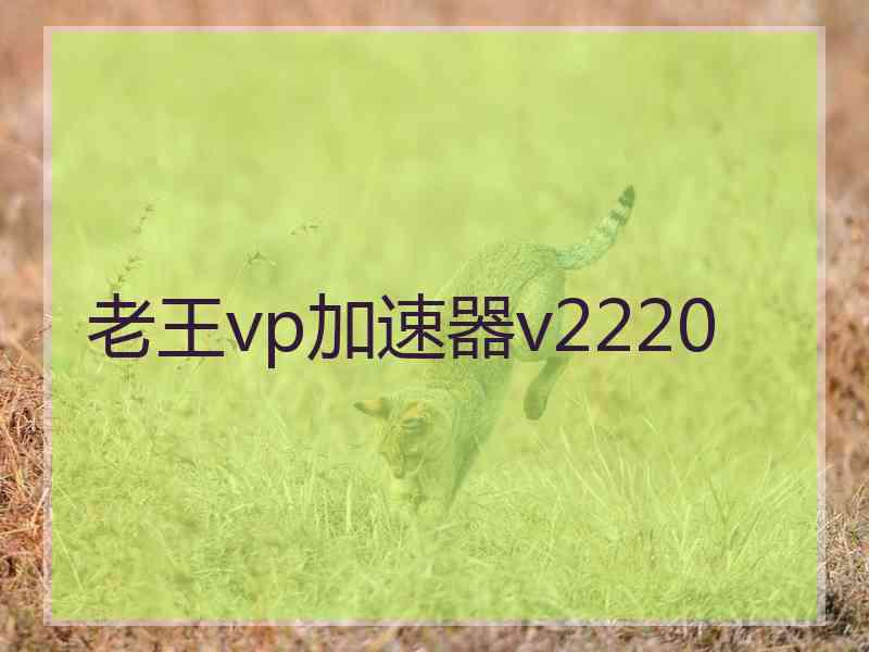 老王vp加速器v2220