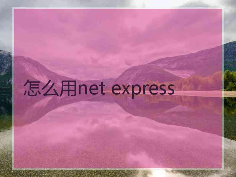 怎么用net express