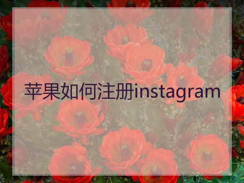 苹果如何注册instagram