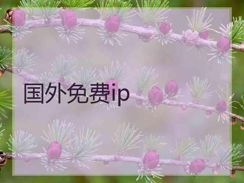 国外免费ip