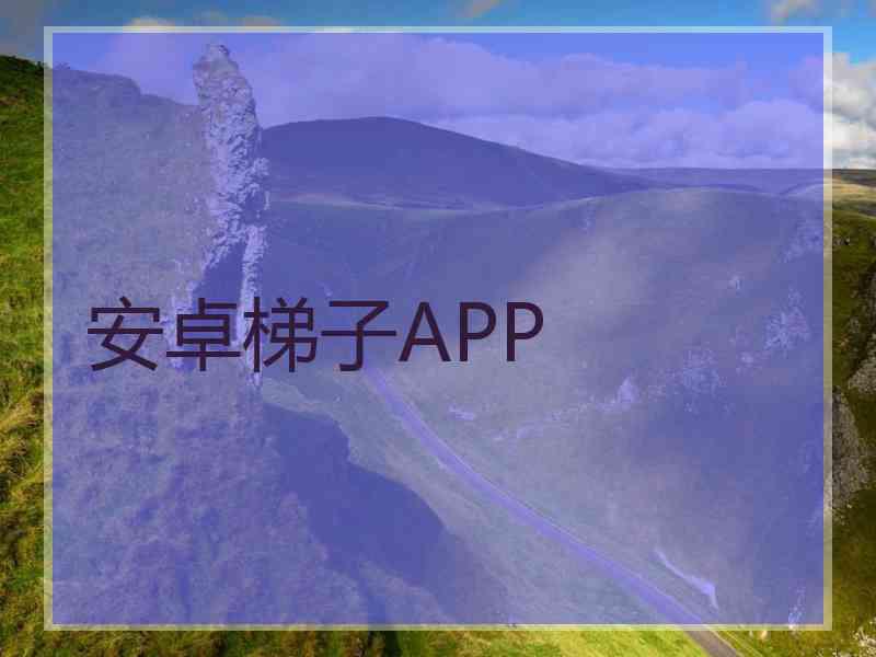 安卓梯子APP