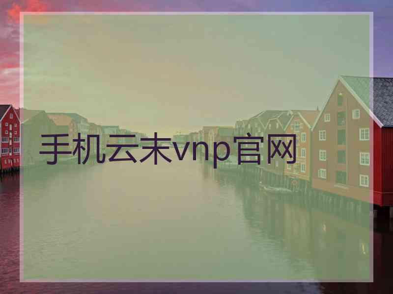 手机云末vnp官网