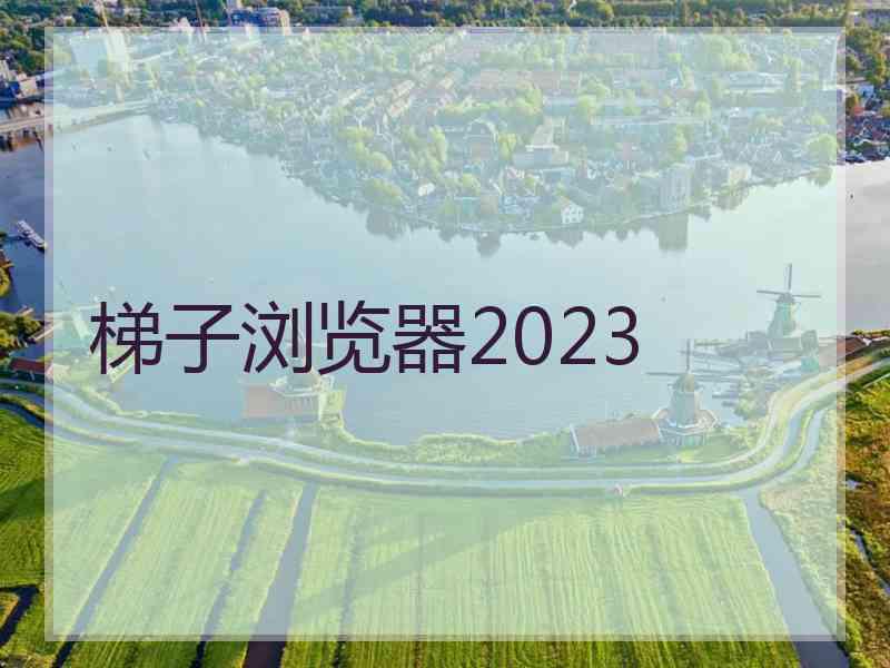 梯子浏览器2023