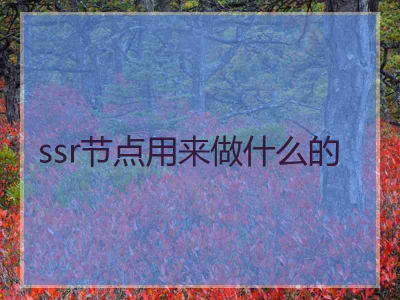 ssr节点用来做什么的