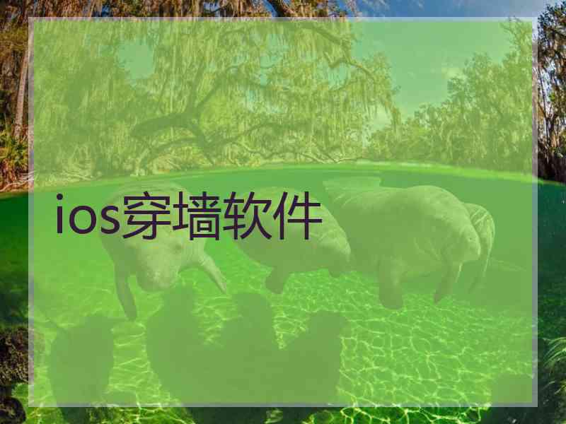 ios穿墙软件