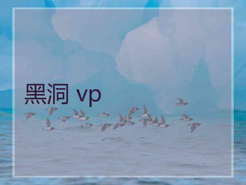 黑洞 vp