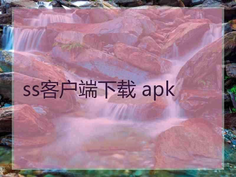 ss客户端下载 apk