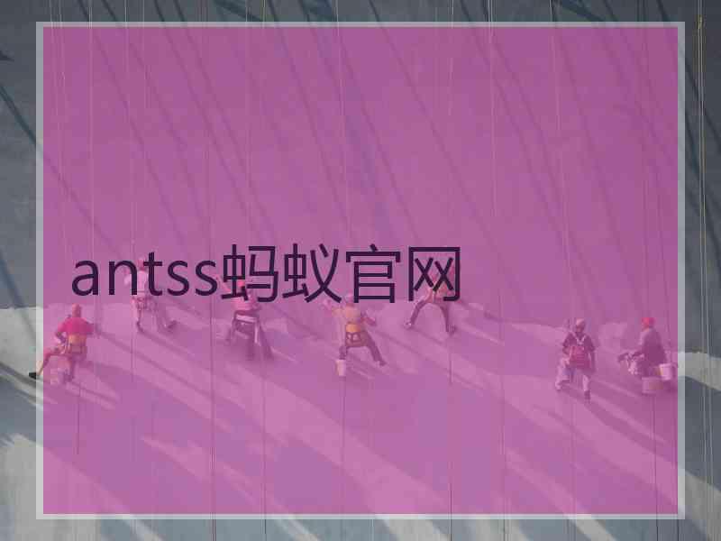 antss蚂蚁官网