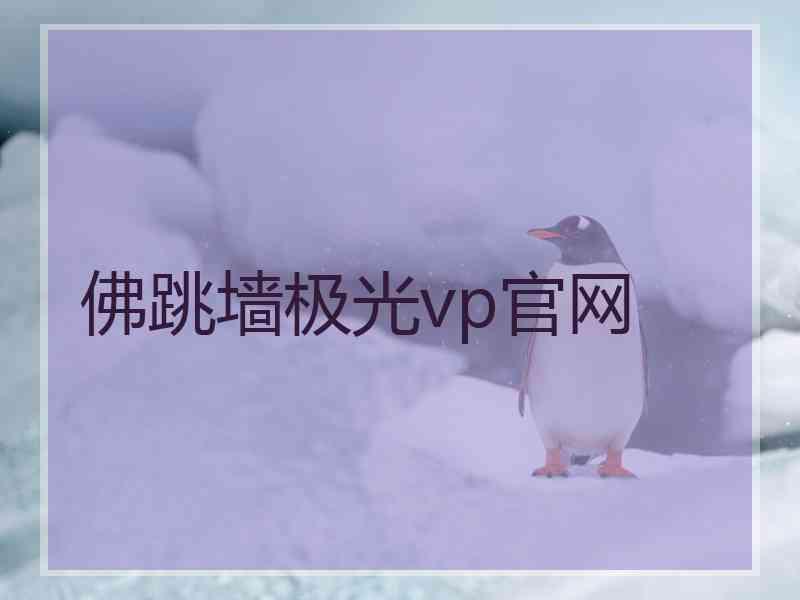 佛跳墙极光vp官网