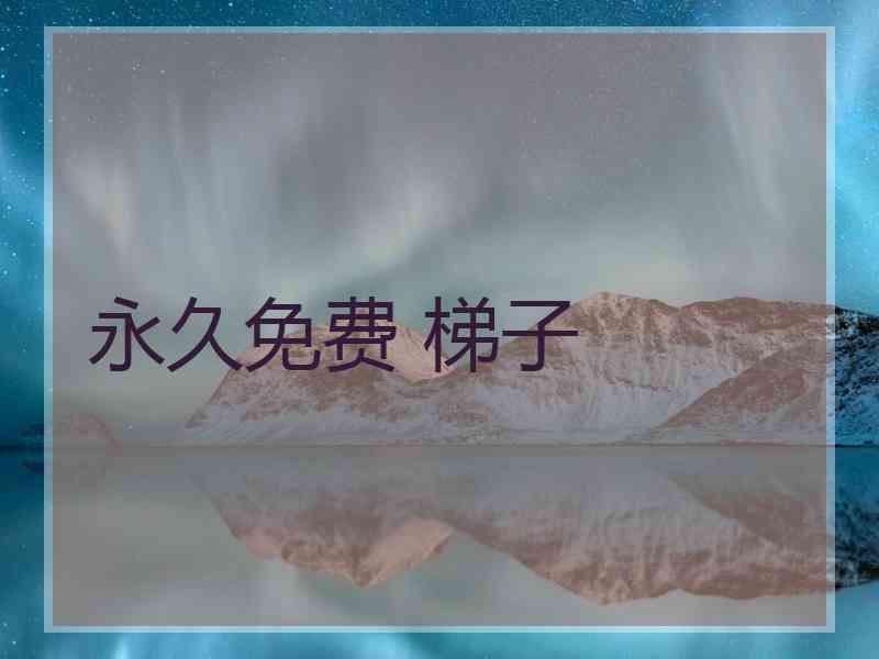 永久免费 梯子