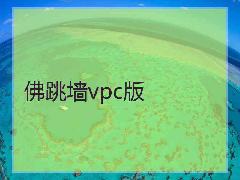 佛跳墙vpc版