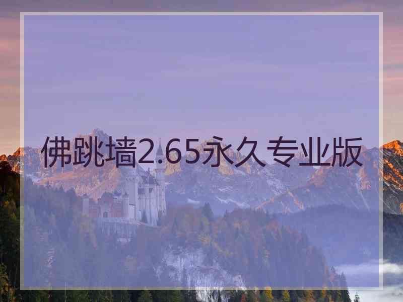 佛跳墙2.65永久专业版