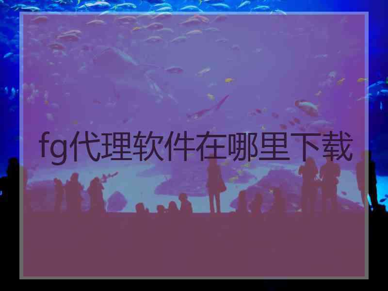 fg代理软件在哪里下载