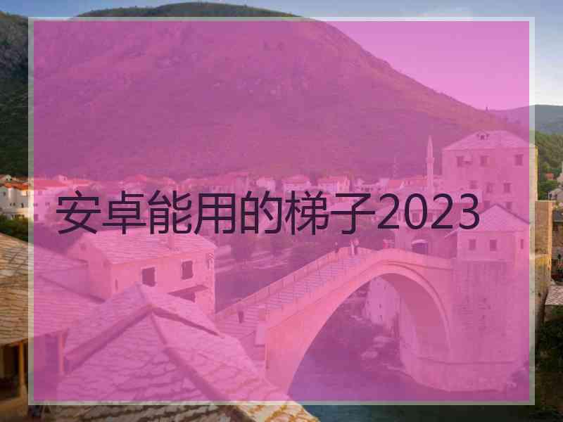 安卓能用的梯子2023