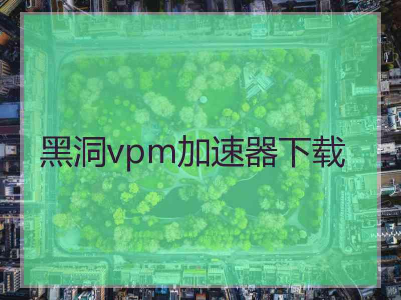 黑洞vpm加速器下载