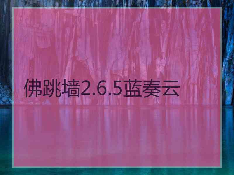 佛跳墙2.6.5蓝奏云