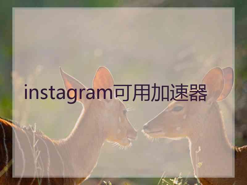 instagram可用加速器