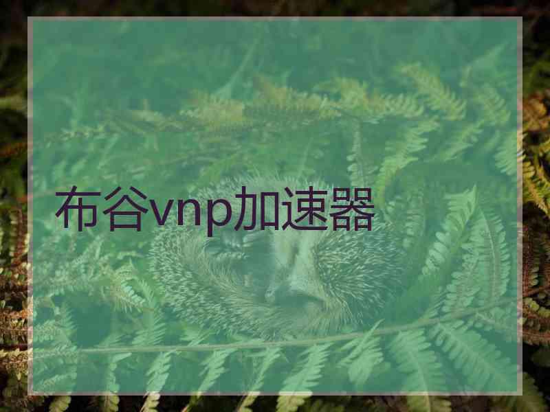 布谷vnp加速器