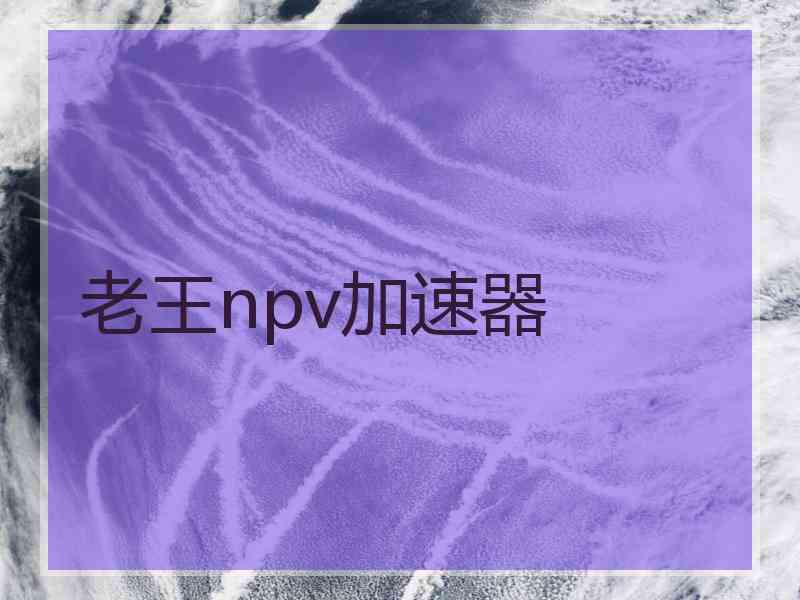 老王npv加速器