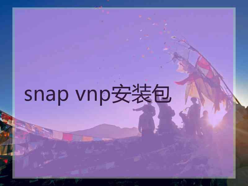 snap vnp安装包