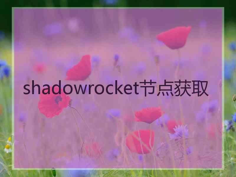 shadowrocket节点获取