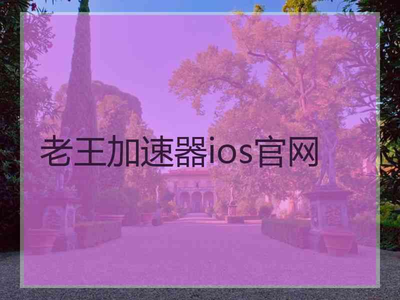 老王加速器ios官网