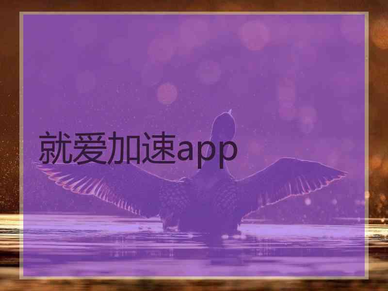 就爱加速app