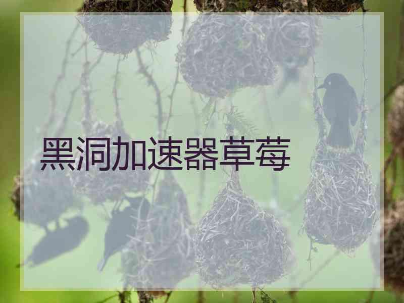 黑洞加速器草莓