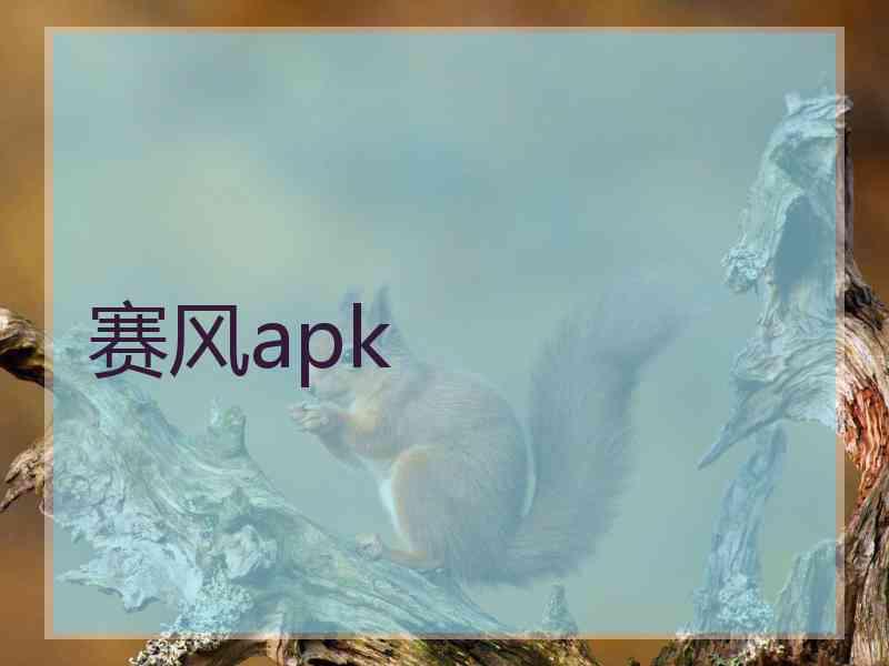 赛风apk