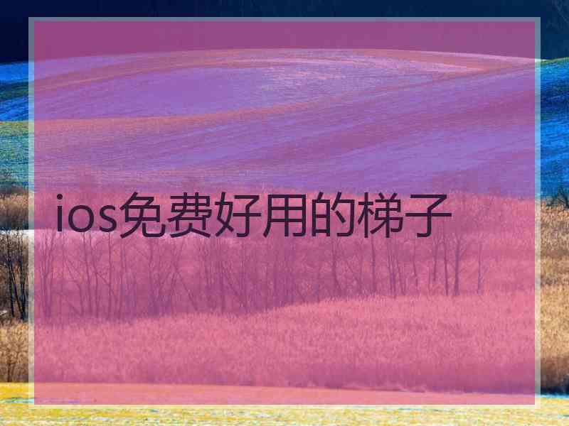 ios免费好用的梯子