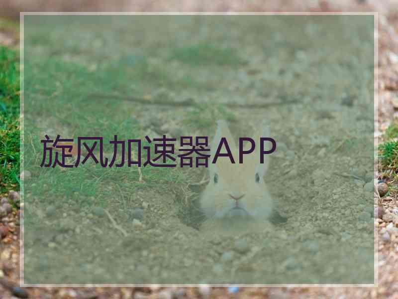 旋风加速器APP