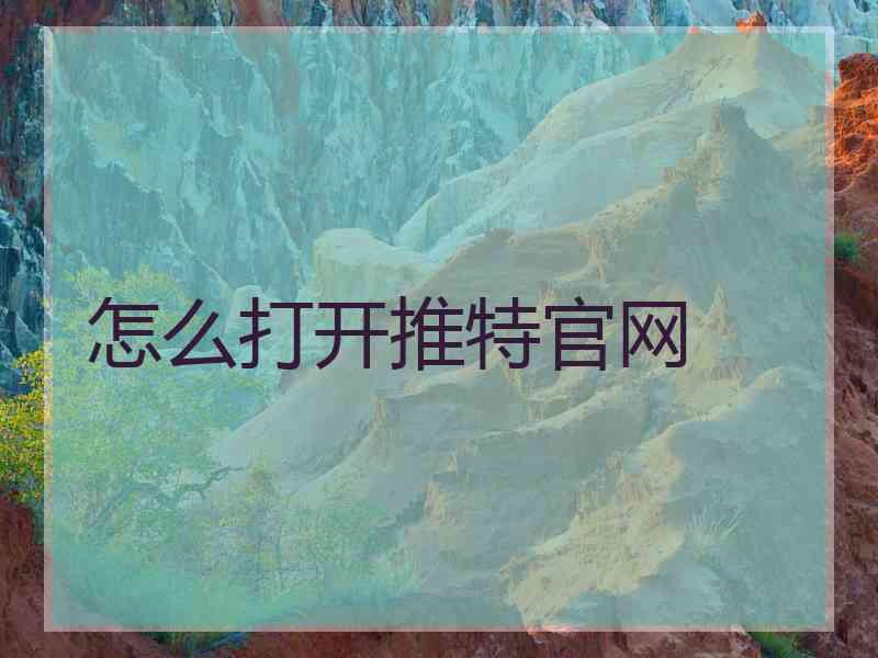 怎么打开推特官网