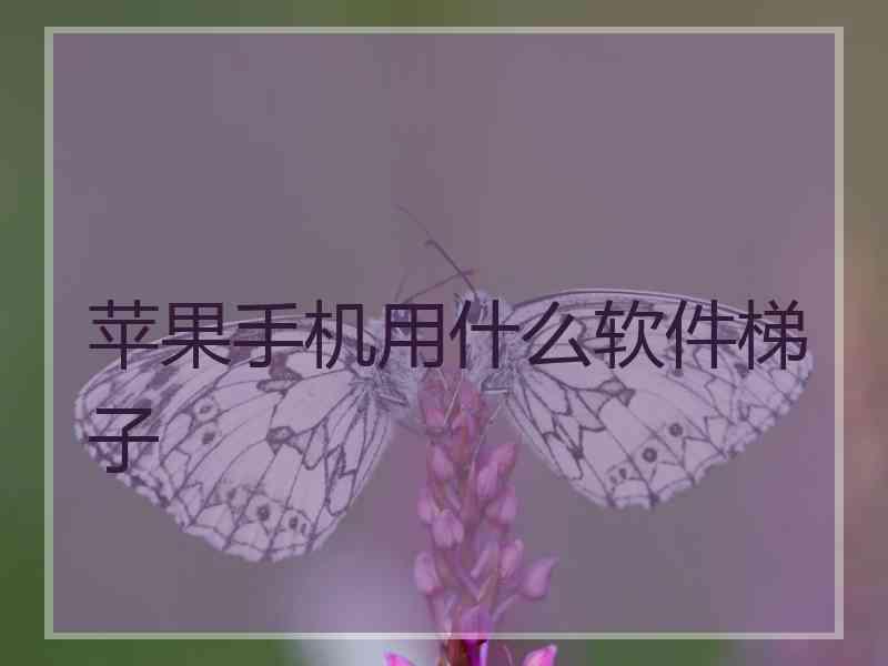 苹果手机用什么软件梯子