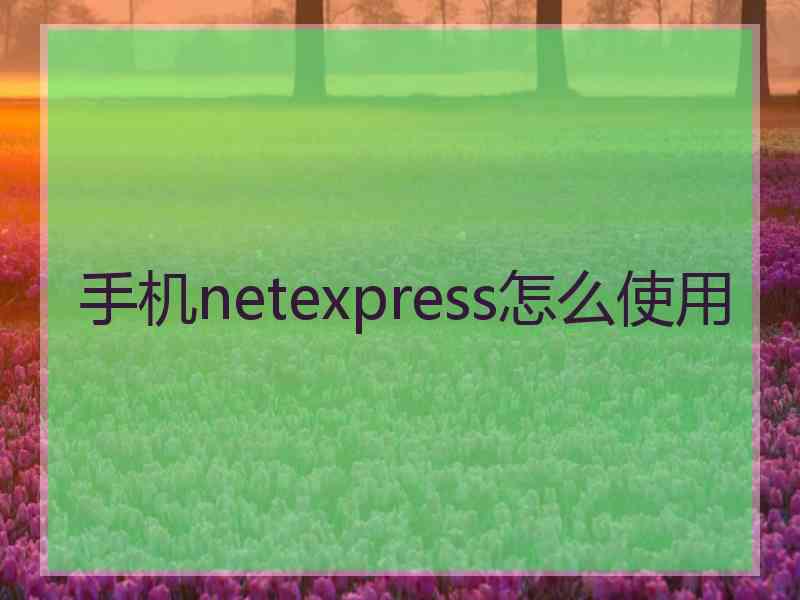 手机netexpress怎么使用