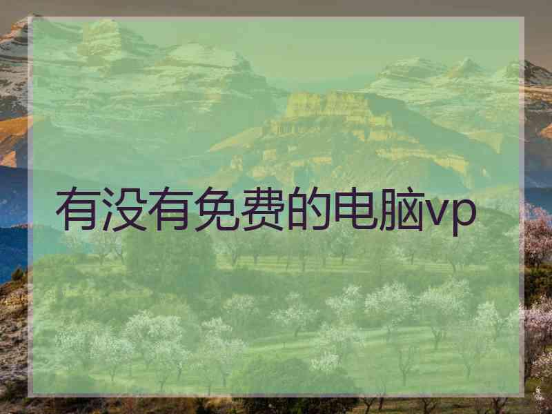 有没有免费的电脑vp