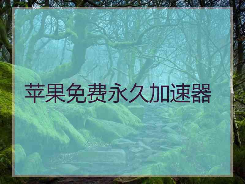 苹果免费永久加速器