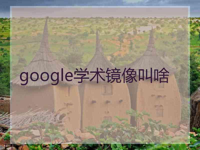 google学术镜像叫啥