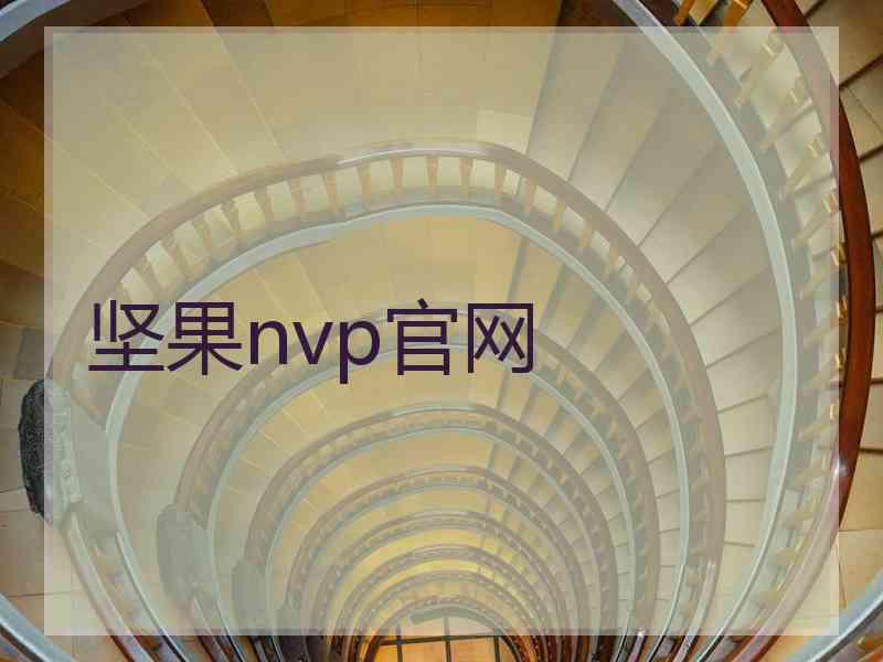 坚果nvp官网