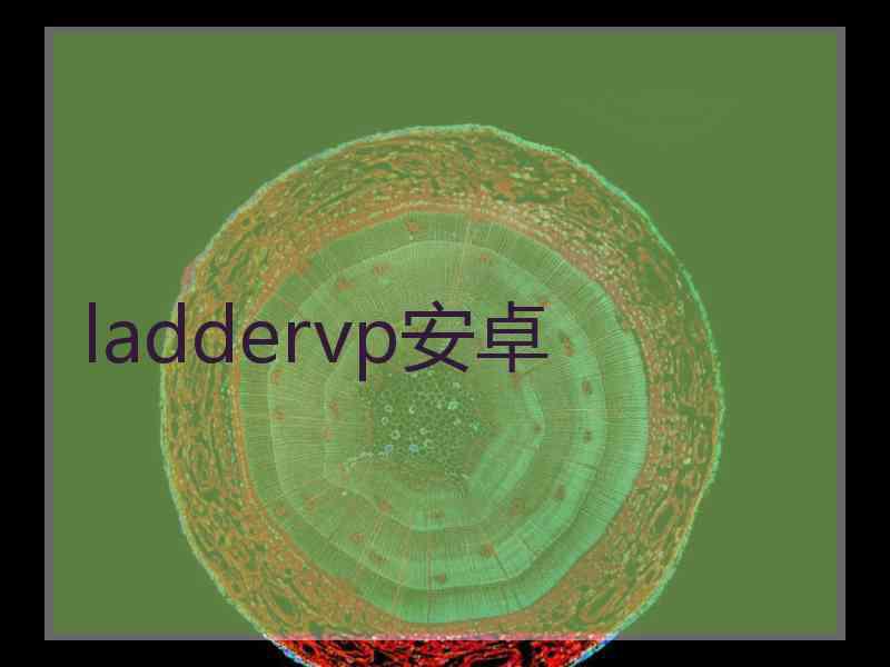 laddervp安卓