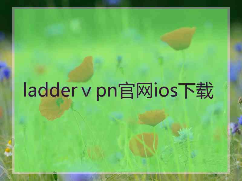 ladderⅴpn官网ios下载