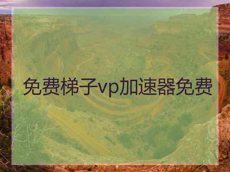 免费梯子vp加速器免费