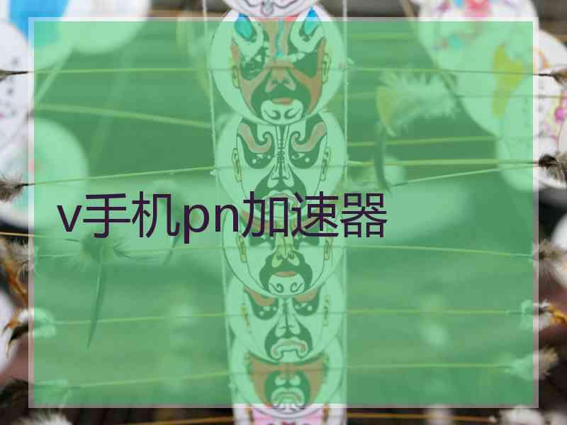 v手机pn加速器