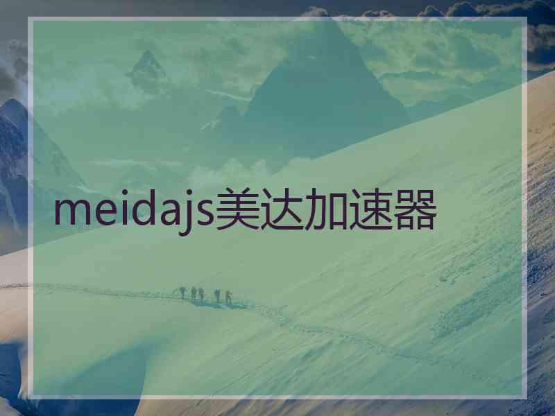 meidajs美达加速器