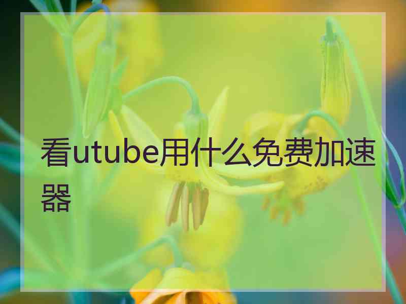 看utube用什么免费加速器