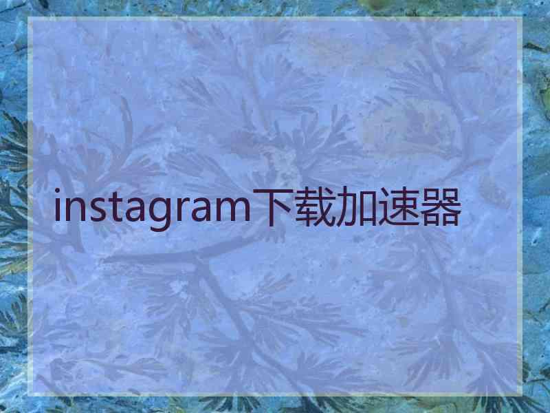 instagram下载加速器