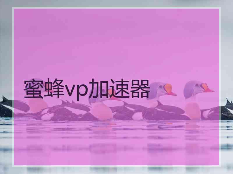 蜜蜂vp加速器