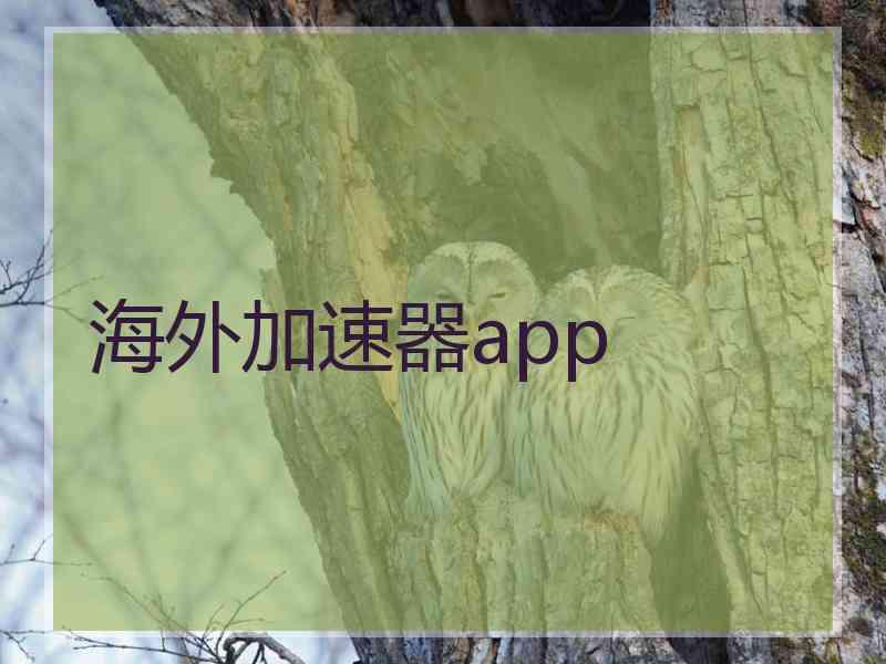 海外加速器app