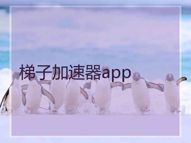 梯子加速器app