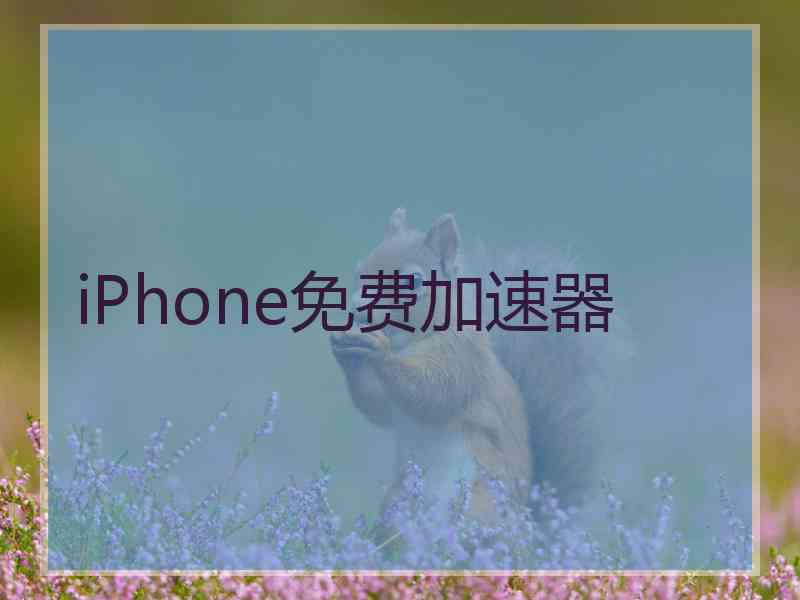 iPhone免费加速器